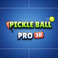 Pickle Ball Pro