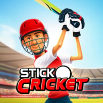 Stick Cricket Chase