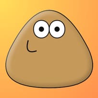 Pou