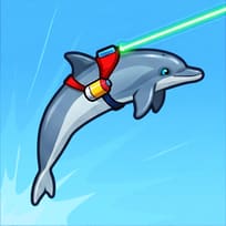 Dolphin Dive