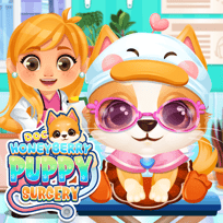 Doc HoneyBerry Puppy Surgery
