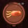 Idle Evolution∶ Primordia