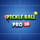 Pickle Ball Pro