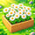 Flower Shop