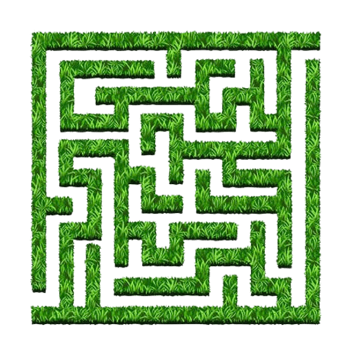 Maze