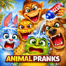 Animal Pranks