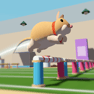 Gerbil Hurdle