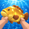 Catch a Fish