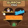 burrow pins