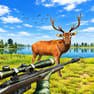 Animal Hunter