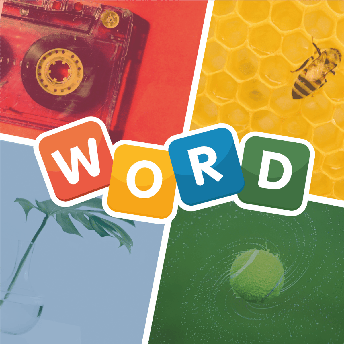 4 PICS 1 WORD Jogue Gr tis Online Poki